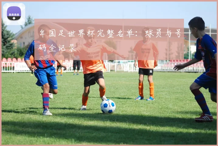 年国足世界杯完整名单：球员与号码全记录