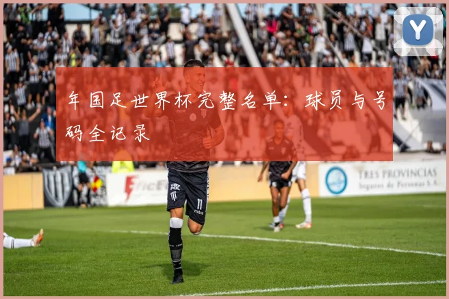 年国足世界杯完整名单:球员与号码全记录